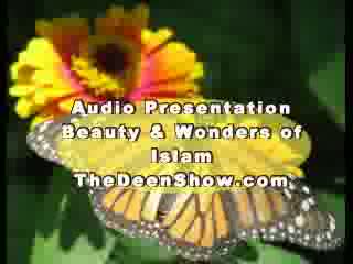 Abdur Raheem Green- Beauty and wonders of Islam Part 1-8