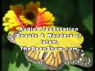 Abdur Raheem Green- Beauty and wonders of Islam Part 6-8