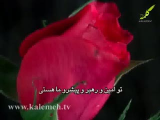 پژواک (12)