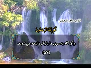 نور وحی (1)