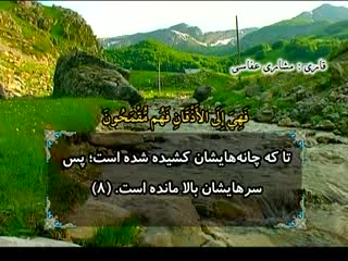 نور وحی (14)