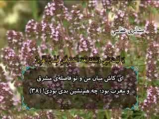 نور وحی (30)